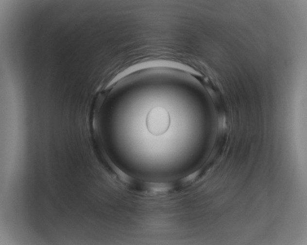 X0000110880524200906251251