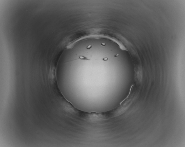 X0000110880525200906251251