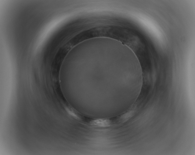 X0000110880526200906251251