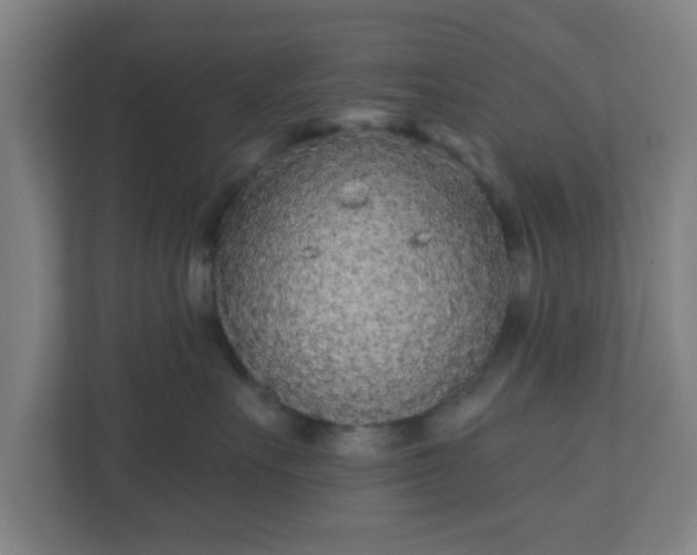 X0000110880527200906251251