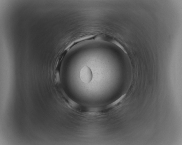 X0000110880528200906251251