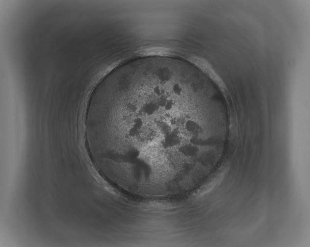 X0000110880529200906251250