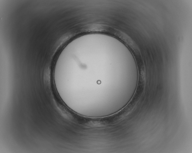 X0000110880534200906251250