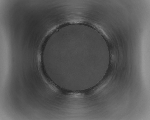 X0000110880539200906251250