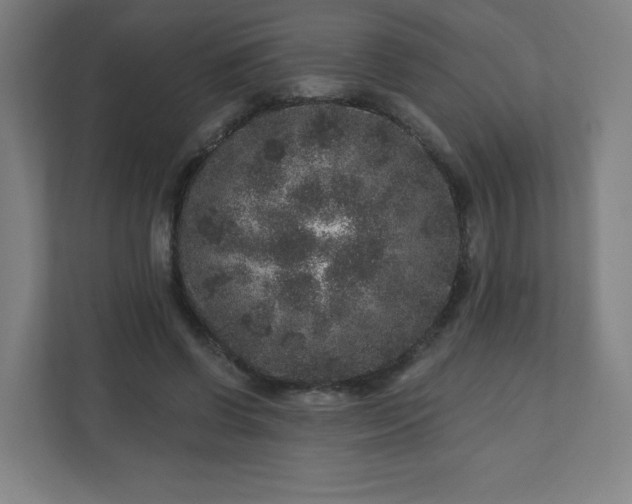 X0000110880542200906251251