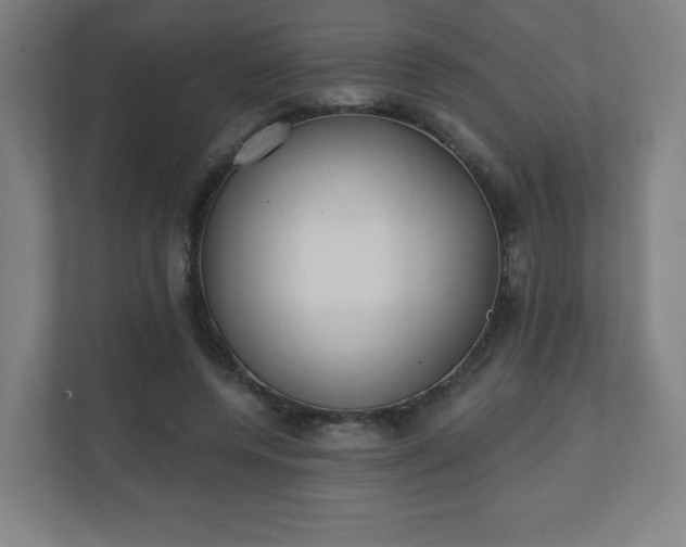 X0000110880544200906251251