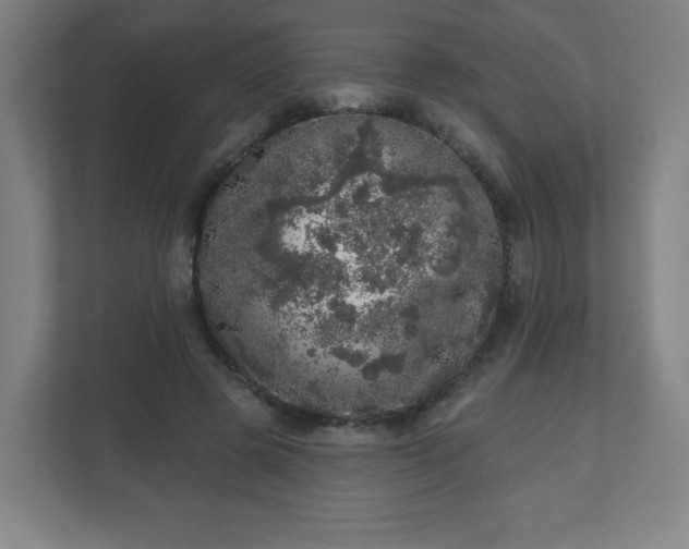 X0000110880545200906251251