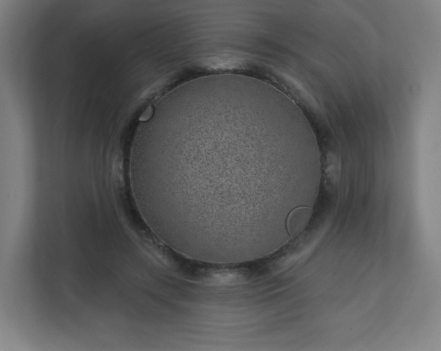 X0000110880547200906251251