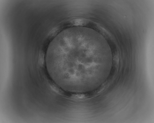 X0000110880554200906251251