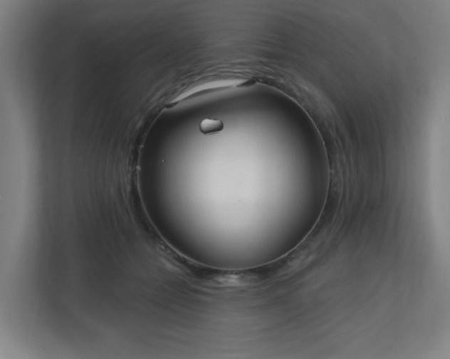 X0000110880558200906251251