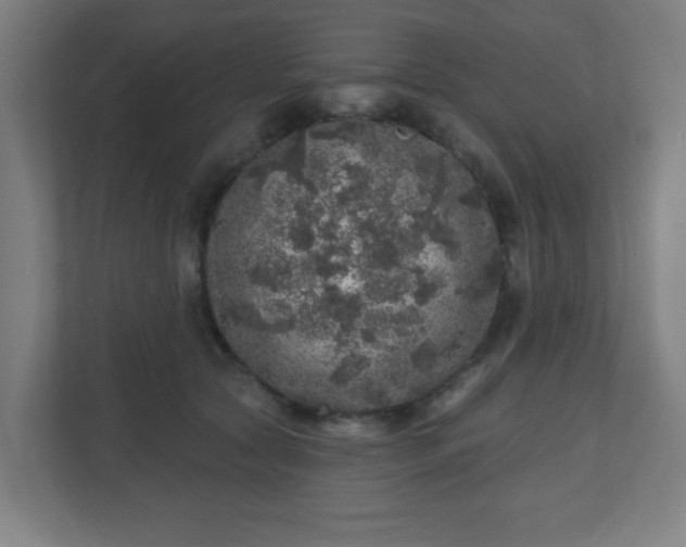 X0000110880561200906251251