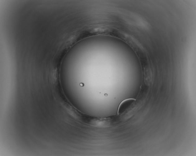 X0000110880563200906251251