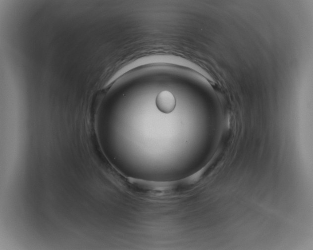 X0000110880564200906251251