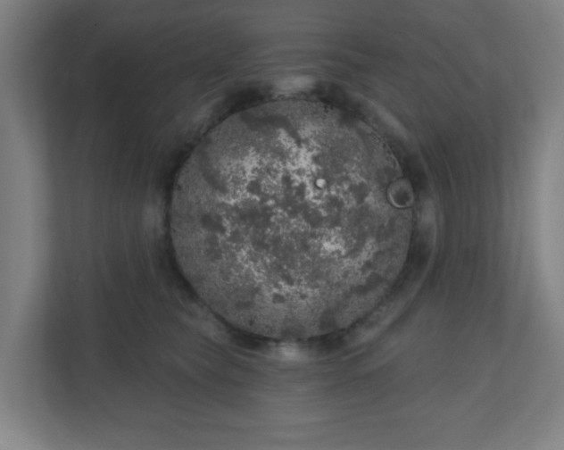 X0000110880565200906251251