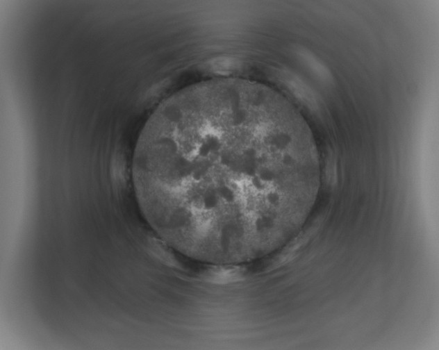 X0000110880569200906251251
