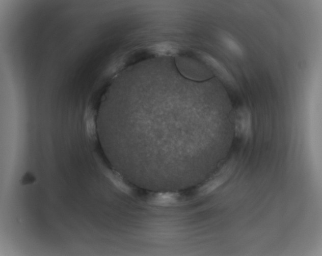 X0000110880573200906251251
