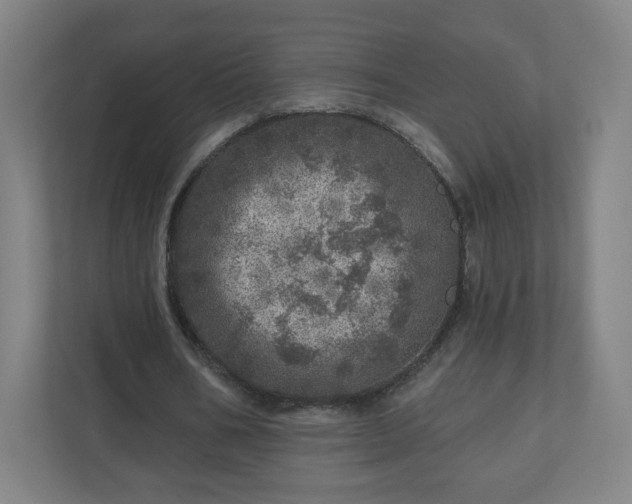 X0000110880578200906251250
