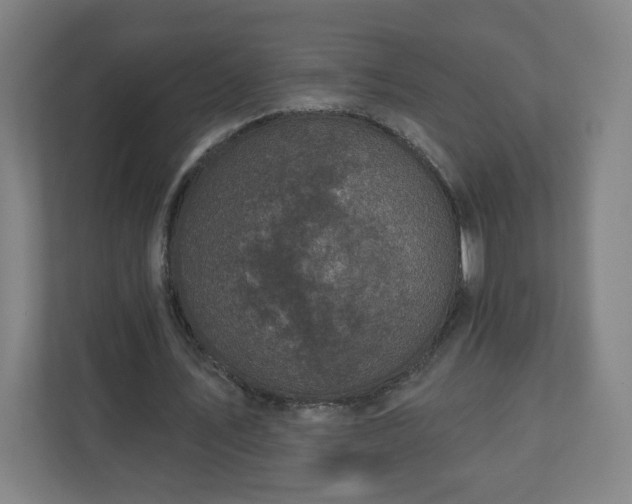 X0000110880579200906251250