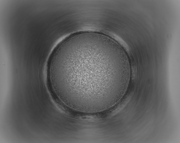 X0000110880580200906251250