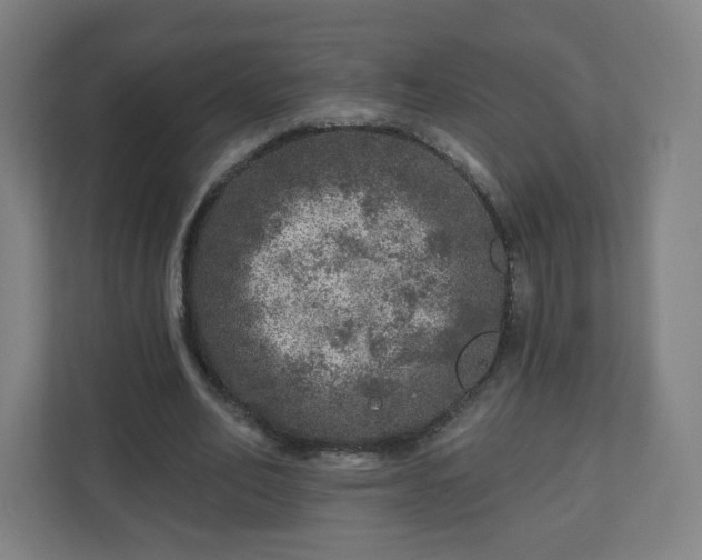 X0000110880582200906251250