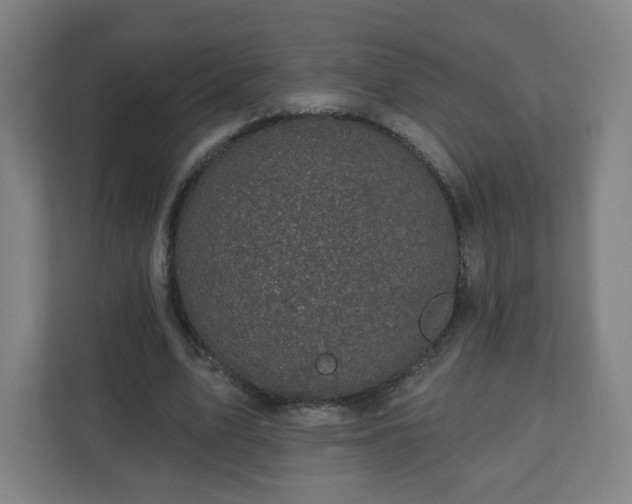 X0000110880583200906251250