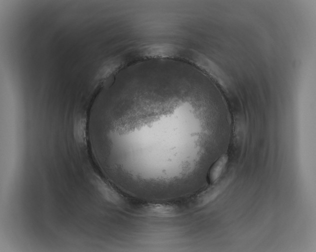 X0000110880585200906251250