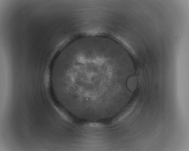 X0000110880590200906251250