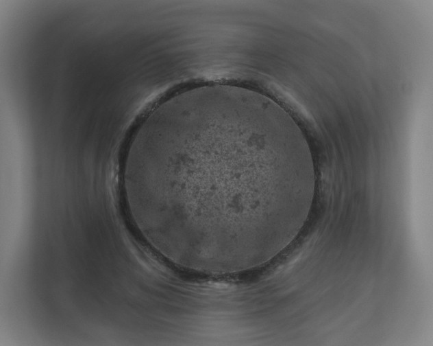 X0000110880592200906251250