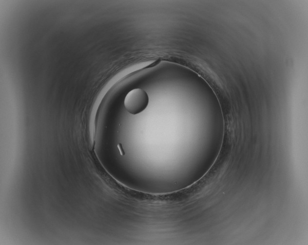 X0000110880593200906251250