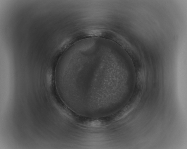 X0000110880600200906251250