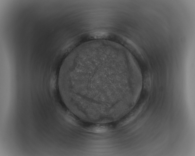 X0000110880604200906251250