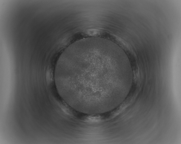 X0000110880606200906251250