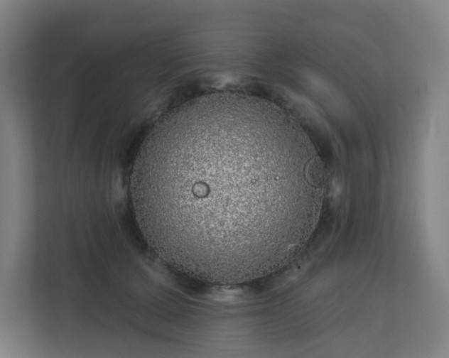 X0000110880607200906251250