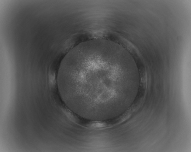 X0000110880610200906251250