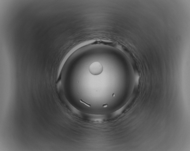 X0000110880611200906251250