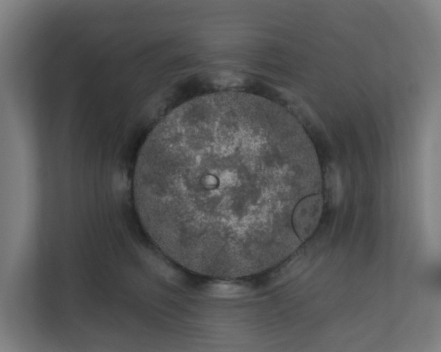 X0000110880614200906251250