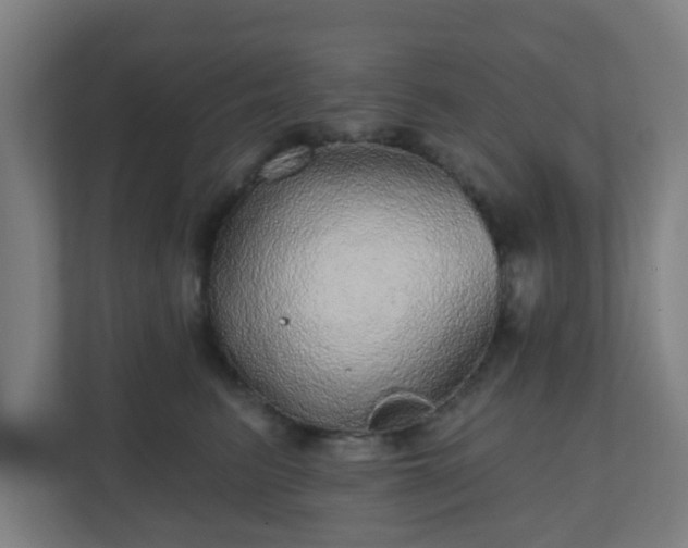 X0000110880615200906251250