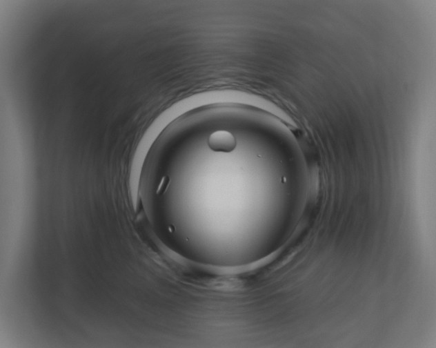 X0000110880617200906251250