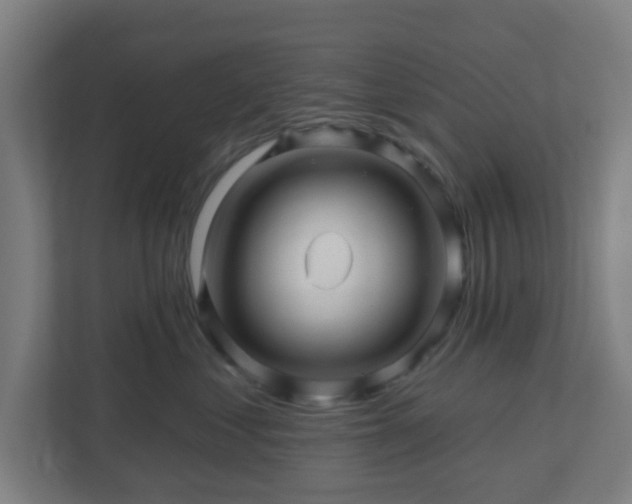 X0000110880621200906251250