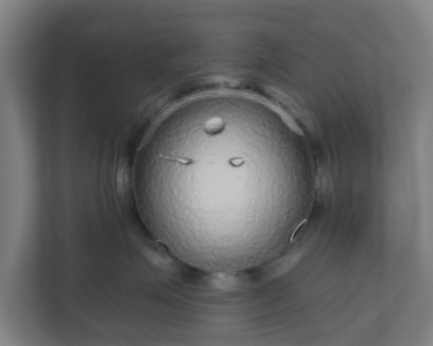X0000110880623200906251250