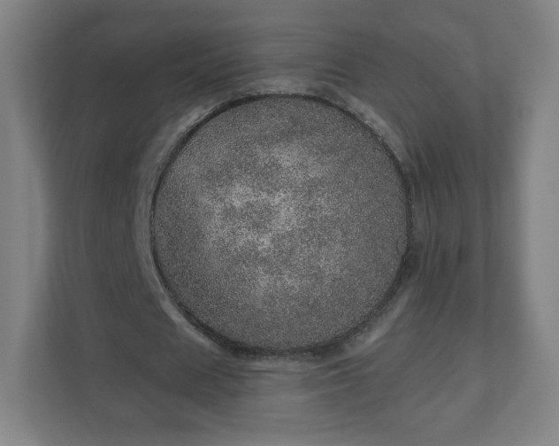 X0000110880625200906251249