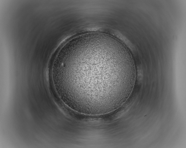 X0000110880626200906251249