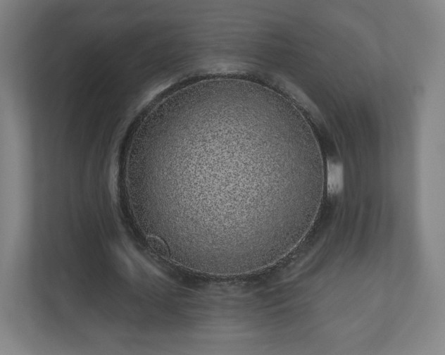 X0000110880627200906251249