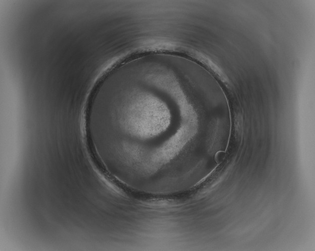 X0000110880629200906251249
