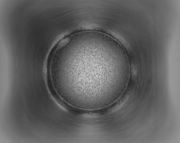 X0000110880630200906251249