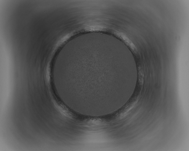 X0000110880631200906251249
