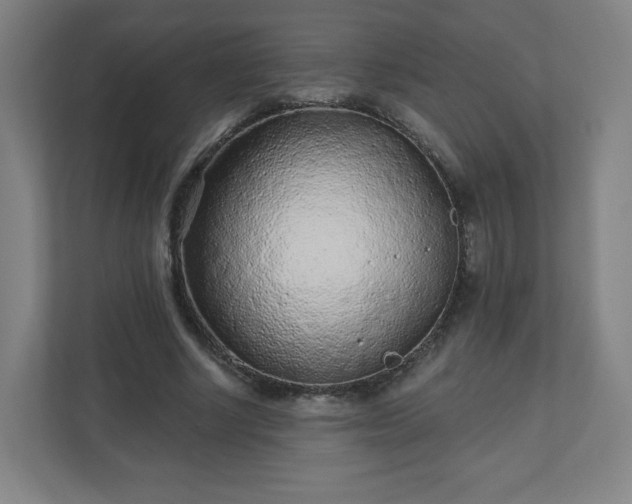 X0000110880634200906251249
