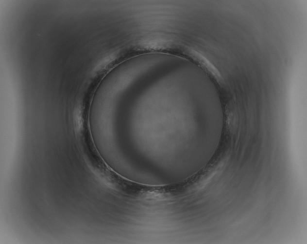 X0000110880635200906251249