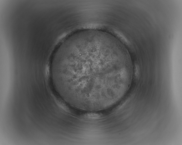 X0000110880636200906251249
