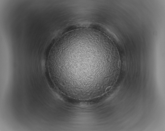 X0000110880641200906251249